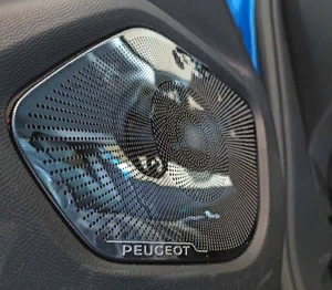 Peugeot 2008 Hoparlör Kaplama Siyah